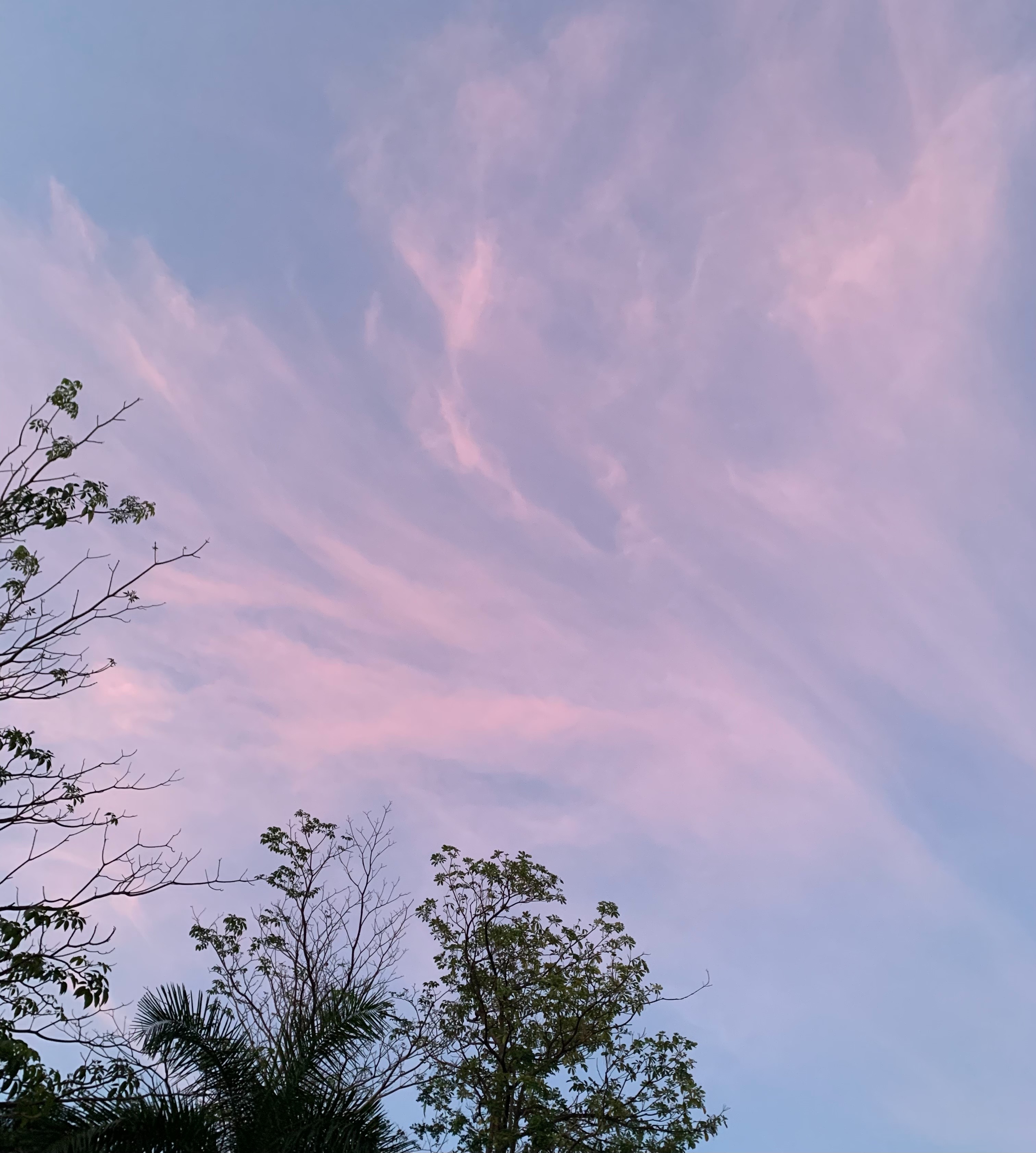 pink sky